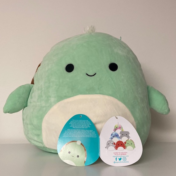Antoni the sea turtle squishmallow toy! Smoke free home sea life! GOOD condition - Picture 1 of 1